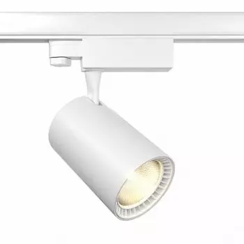 Maytoni TR029-3-30W4K-B