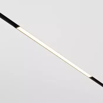 Maytoni TR030-2-24W3K-B
