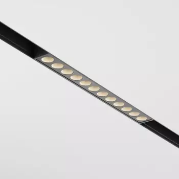 Maytoni TR031-2-12W4K-B