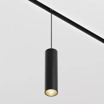 Maytoni TR041-2-12W3K-B