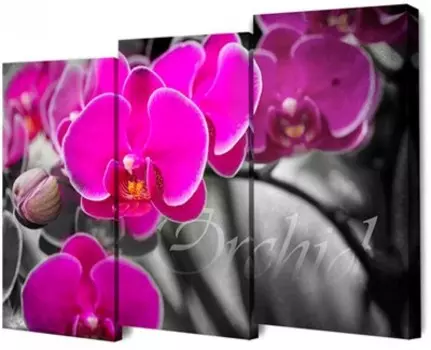 Модульная картина TL-M2073 TOPLIGHT