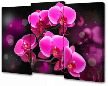 Модульная картина TL-M2074 TOPLIGHT