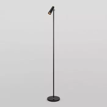 Напольный светодиодный светильник Eurosvet Joel 80430/1 черный/золото