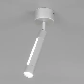 настенно-потолочный светильник Eurosvet 20084/1 LED серебро