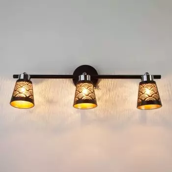 Настенный светильник бра Евросвет 20061/3 черный