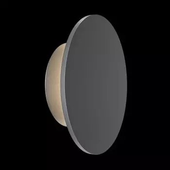 Настенный светильник (бра) Outdoor O420WL-L7GF