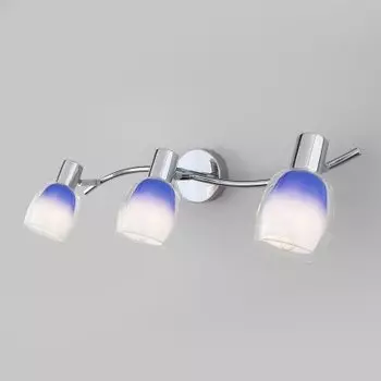 Настенный светильник Евросвет 20119/3 Potpourri