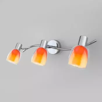 Настенный светильник Евросвет 20119/3 Potpourri