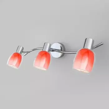 Настенный светильник Евросвет 20119/3 Potpourri