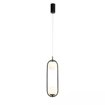 Подвесной светильник St luce SL395.403.02 DONOLO