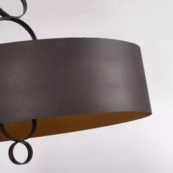 Подвесная люстра Favourite 4007-6P Ferrous