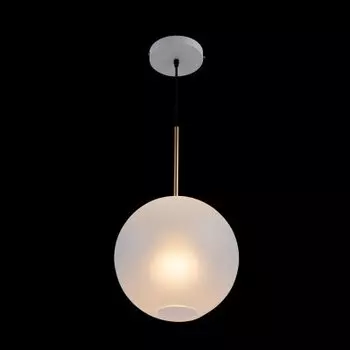 Подвесной светильник Loft it 2030-P1 Bolle