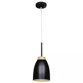 Подвесной светильник Loft it LOFT4402A-BL Watchman