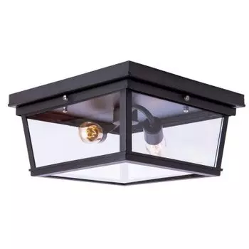 Потолочный светильник Loft it LOFT3110-2C Modern filament
