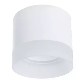 Потолочный светильник Arte Lamp A5554PL-1WH CASTOR