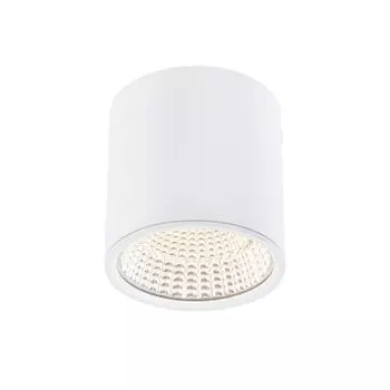 Потолочный светильник Citilux CL558070 Стамп