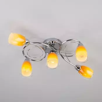 Потолочный светильник Евросвет 30153/5 Potpourri