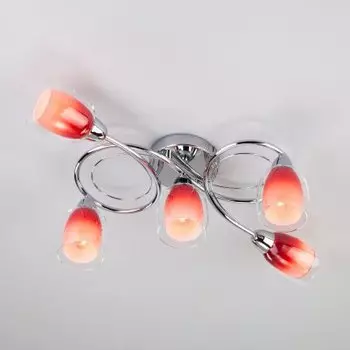 Потолочный светильник Евросвет 30153/5 Potpourri