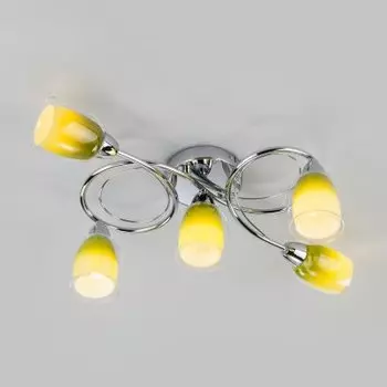 Потолочный светильник Евросвет 30153/5 Potpourri