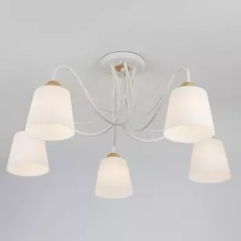 Потолочный светильник Евросвет 70062/5 белый