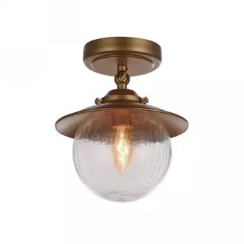 Потолочный светильник Favourite 2027-1U Farola