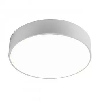 потолочный светильник Favourite 2065-24C Flashled