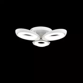 Потолочный светильник Freya FR6007CL-L51W Elena