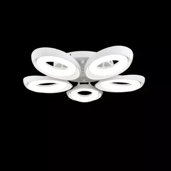 Потолочный светильник Freya FR6007CL-L82W Elena