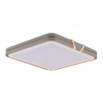 Потолочный светильник LED4U L3040-500 GR