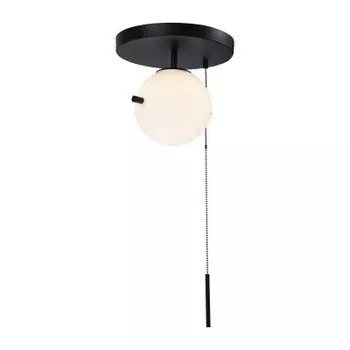 Потолочный светильник Loft it 10029C Black Signal