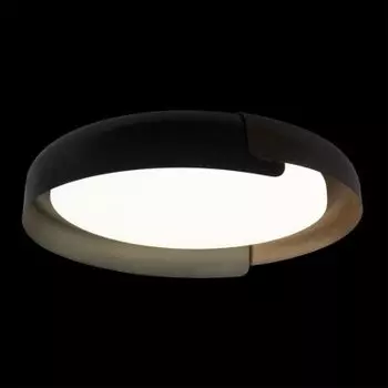 Потолочный светильник Loft it 10198 Black Coin