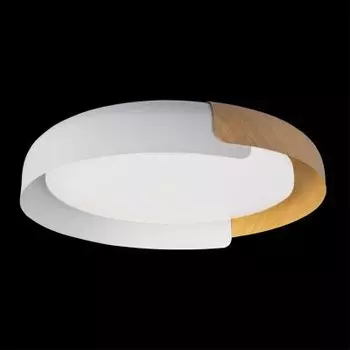 Потолочный светильник Loft it 10198 White Coin