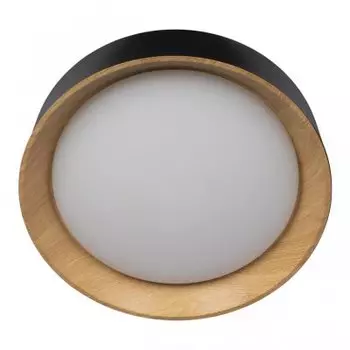 Потолочный светильник Loft it 10202 Black Coin