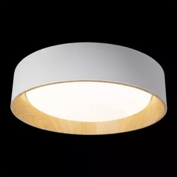 Потолочный светильник Loft it 10202 White Coin