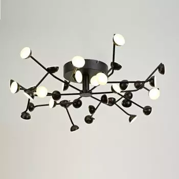 Потолочный светильник Mantra 6422