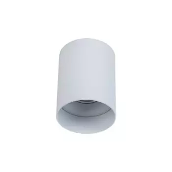 Потолочный светильник Maytoni C014CL-01W Alfa