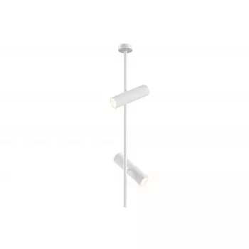 Потолочный светильник Maytoni C021CL-02W Elti