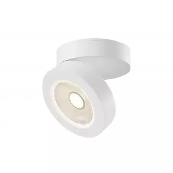 Потолочный светильник Maytoni C022CL-L7W Alivar