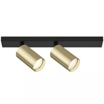 Потолочный светильник Maytoni C051CL-02BG FOCUS S