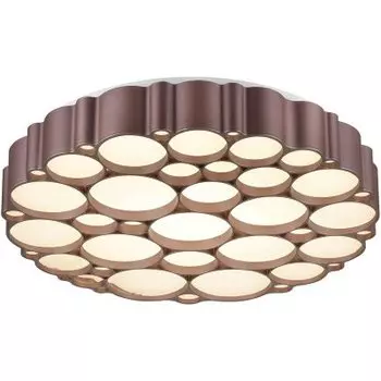 Потолочный светильник Vele luce VL7156l01 bible