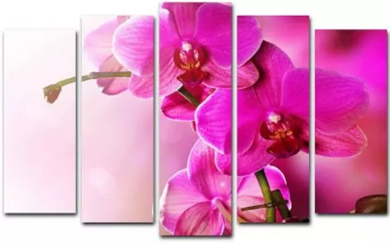 Пятимодуль TL-PM0009 TOPLIGHT