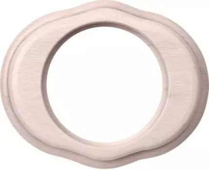 Рамка на 1 пост (беленый дуб) WL20-frame-01 Werkel