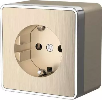 Розетка с заземлением Gallant (шампань рифленый) WL15-02-01 Werkel