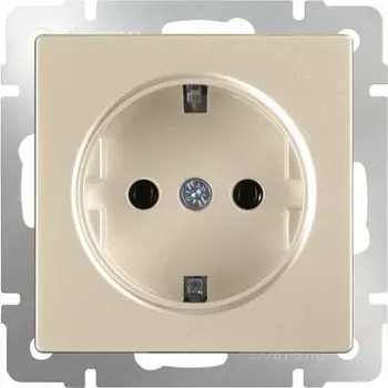 Розетка с заземлением (шампань) WL11-SKG-01-IP20 Werkel