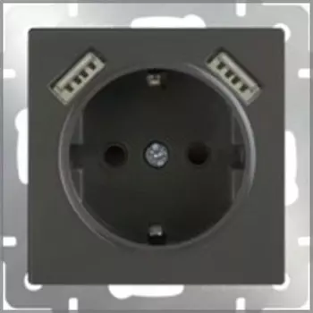 Розетка с заземлением, шторками и USBх2 (черный матовый) WL08-SKGS-USBx2-IP20 Werkel