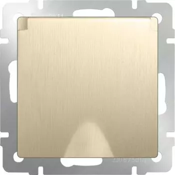 Розетка влагозащ. с зазем. с защит. крышкой и шторками (шампань рифленый) WL10-SKGSC-01-IP44 Werkel