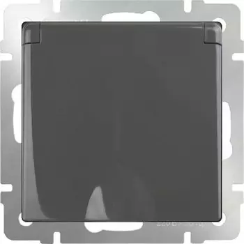 Розетка влагозащ. с зазем. с защит. крышкой и шторками (серо-коричневый) WL07-SKGSC-01-IP44 Werkel