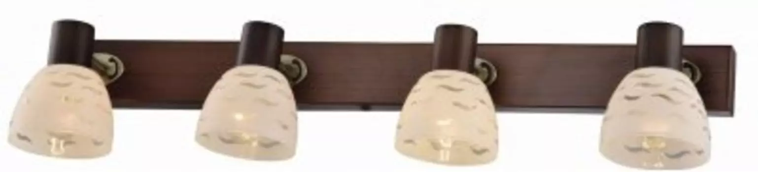 Спот Shayla TL3730Y-04BB Toplight