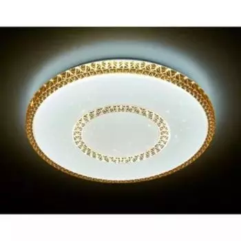 Светильник Ambrella F99 CF 96W D500 ORBITAL Многофункциональный (ПДУ)