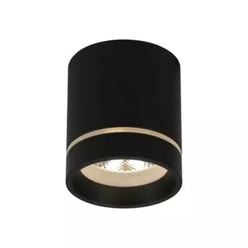 Светильник встраиваемый-накладной Aployt APL.0043.19.05 Gita